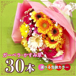 K[x ԑ 30{y䃍[YK[fzu[P ԑ  v[g Mtg ̓ K[x ԑ hV̓ JX~\E