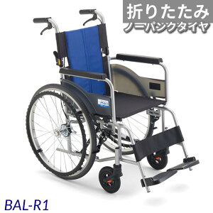~L Ԉ֎q BAL-R1   ܂肽 m[pN^C Ԃ ԃCX Vv ܂݁@HH
