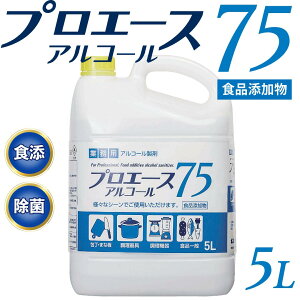 Zx75@5L@vG[XyHiYKizAR[ ۍ Ɩp   G^m[ 75 5L ŉt