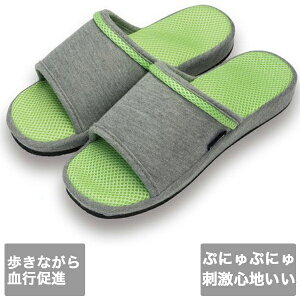 yAt@bNXzK ӂ݂ /vjvjC\[@O[@GNTTCY