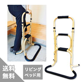 楽天市場 玄関 手すり 置くだけの通販