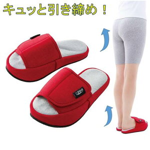 ݑ΍Xbp@LLbp@bh@22.5-24.5cm