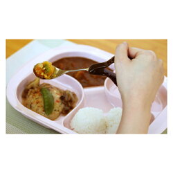 【青芳】ウィル・ファイブユニバーサルスプーンWiLL5UNIVERSALSPOON