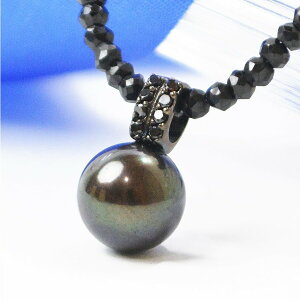 y{|CgUPz傫 ^ W p[ ^ ubN Xsl lbNX y_g P[Xt ۏ؏t