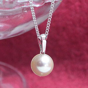 y15 XSi5%Itzp[y_g ^ lbNX ig 嗱 8.5mm ^ p[ y_g zCg u[O[ { Vo[ 925`F[ 40cmt _m 