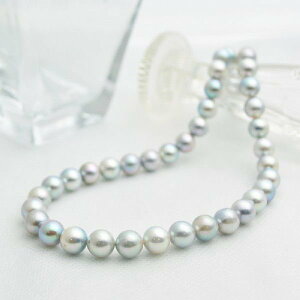 y{|CgUPz9mm i`J[ {^ p[lbNX lbNX Ehn  w Ǝ tH[} v[g _m ͂܂̂