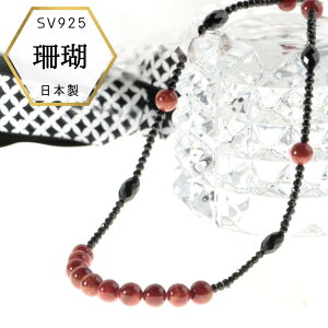 yX[p[SALEXSi15%OFFzXlbNX TSlbNX  OlbNX TCY AtJTS X|WTS X R[ VR v[g P[Xt 3 