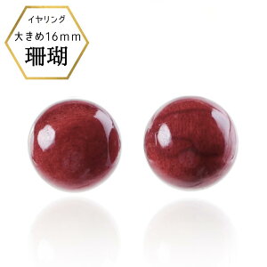 yHSALE20OFF11/30zXCO 傫ߎX 傫ȎXCO TSCO X AtJX FXgp CO P[Xt ۏ؏t җ {  3 a