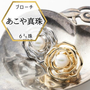 yP5{zVi p[u[` {^u[` ^̃u[` p[̃u[` {^ ^ u[` P[Xt v[gΉ  tH[} ۏ؏t KN [Y K