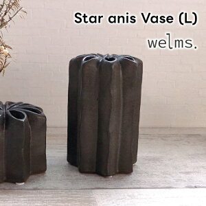 welms Star anis Vase (L) F04-0219yO[oA[ global arrow t[x[X ԕr ֑} ̓ ̓ hV̓ NX}X xmasz