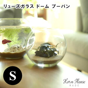 yHorn Please MADEz[YKX h[ v[p STCY 372280y[YKX [X KX [XKX t[x[X  eE  KX Horn Please u̔ ̓ 