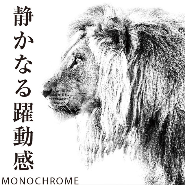 アートパネル】アニマル モノトーン Monochrome【送料込み ライオン 