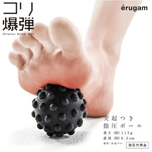 yerugamzRe 54153yw{[ ˋNt w {[   w  Sg  ق wpi c{ c{}bT[W GK SAKURAI TNCfՁz