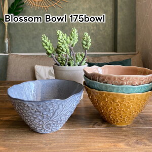 Blossom Bowl 175 Bowly}ᓩ Z CX{E {E T_{E H AeB[N ԕ At^k[eB[ k o^C zCgf[ ̓ ̓ hV̓ NX}X 