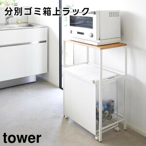 yr[Tzy[J[zytowerzʃS~ドbN 1666 1667 zCg ubNyR ^[ ȃXy[X W W{[h WbN ݔドbN y_ 