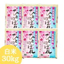 【エントリー購入でポイント5倍！】福島県産ひとめぼれ 30kg(5kg×6袋) 令和7年産 送料無料 白米 30kg 米 30kg お米　30kg