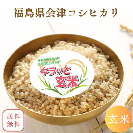 会津産コシヒカリ玄米 10kg(10kg×1袋) 20kg(10kg×2袋) 30kg(30kg×1袋) 令和7年産 福島県産 送料無料 玄米 10kg 玄米 20kg 玄米 30kg 米 お米 キラッと玄米 (沖縄・離島別途送料追加)