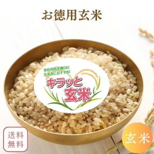 �����p���� 10kg 20kg 30kg �����Y �������� ���� 10kg ���� 20kg ���� 30kg �� 10kg �� 20kg �� 30kg �L���b�ƌ��� (����E�����ʓr�����ǉ�)