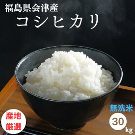 無洗米 30kg 送料無料 福島県会津産コシヒカリ 30kg(5kg×6袋) 令和5年産 【あす楽対応】【産地厳選　会津産のお米のみ使用】米 お米 精米 米 30kg お米 30kg 銘柄米【沖縄・離島 別途送料+1100円】