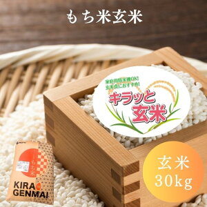 もち米 玄米30kg」の人気商品一覧・価格比較 - 価格.com