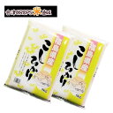 コシヒカリ 5kg×2袋 白米 10kg 福島県 令和元年産 送料無料 あす楽_土曜営業