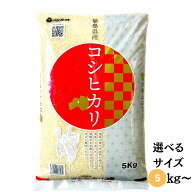 ポイント3倍 10/9(金)1：59まで 【新米予約】10月中旬以降順次発送 令和8年産 福島県産コシヒカリ 白米 …