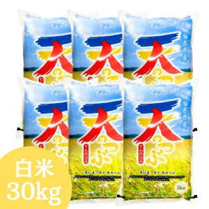 ׁ̈A֑܂Ŕ܂B̔LOZ[IyVāz  30kg  YV̂ 30kg(5kg×6) ߘa7NY     30kg  30kg āyE ʓr