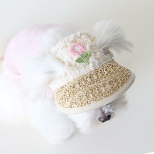 Xq ybgp Xq ^ ^ L nbg ybgLbv r[`Xq hbOEFA  ʋC MǑ΍ O΍  AEghA ߉\ opi