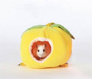 nX^[ xbh nEX ~p g nX^[ nbNpxbh Q ӂӂ ӂӃxbh nEX Vя xe g h ۉ ΍ tH~p ~t p