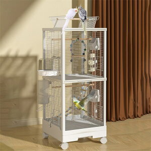   P[W  ʋC ^ a   o[h ^ LX^[t |₷ ot