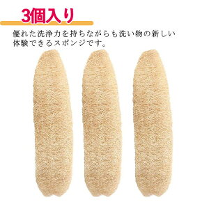 VRw`} w`}킵 VRw`} w`}X|W 3 HuV M H Lb`pi Ȃ ꂪȂ @\