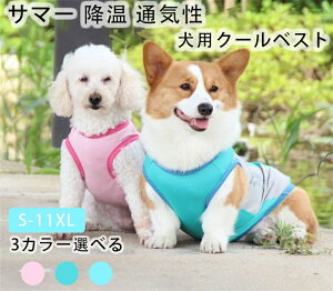 p N[xXg ΍ n ^Ngbv S-11XL bV ڐG⊴ Ђ ˋ@\   t  ^ ^ ^ 3F