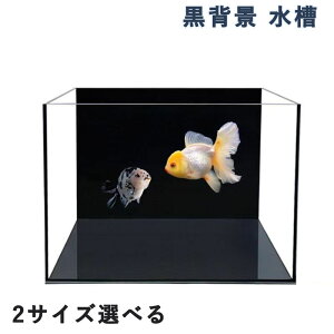 黒背景 ベタ水槽 おしゃれ クリアガラス 飼育用ベタ 金魚 熱帯魚 小型 ブラック クリアガラス アクアリウム リビング用 ベタ専用設計 フレームレス水槽