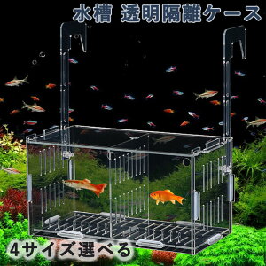 水槽 仕切り セット」の人気商品一覧 | 安い商品を通販サイトから探す 