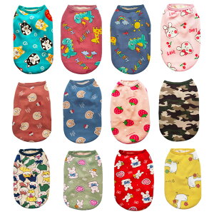  H ~ (S`6XL) ̕  LN^[^Ngbv N g L h hbOEFA ybg R ^ ^ ^