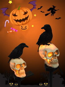 nEB  J{` \[[ Cg pvL LED Cg zGlM[ ڂ C~l[VCg drsv ȃGl  _ t p[eB[ u O 