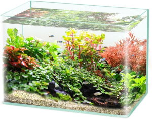   lp KXe _J  _J  ^  KXe  KX{g ACe I ƒ ڎ cƏ@eE ϗtA  