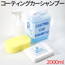 シャンプー＆コーティングがこれ1本で！ カーシャンプー 業務用 2L 撥水 洗車 シャンプー 車 コーティング剤 車 ガラス 系 コーティング 剤 ガラスコート 車 ガラスクリーナー リピカ 洗車用品 送料無料