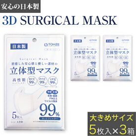 楽天市場 使い捨てマスク 大きめサイズの通販