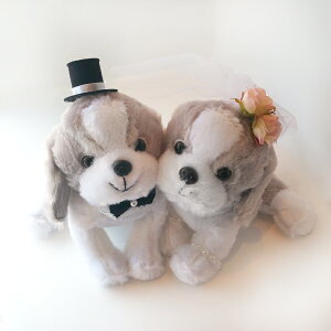 EFJh[ iV[Y[j t l`  V[Y[@@ʂ݁@jd@d@Mtg