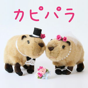 Jsp@ʂ݁@EFfBOh[Eʂ݁EJsp@@j[N@@ʂ݁@t@Mtg@j@jd@d