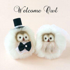 ウェルカムドール 結婚式の通販 価格比較 価格 Com