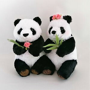 p_̃EFJh[@ʂ iiMtgΉjj tɁ@jd@d@Mtg