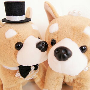 Č VoCk EFJh[  ʂ t@EFfBOh[@jd@d@Mtg