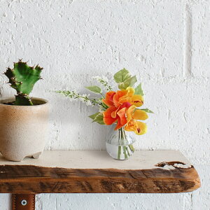 A[eBtBVt[  t[AWg CeA  AW AWg  a t[ O[n O[ IW CG[ tFCNt[ Mtg 