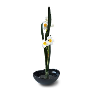 yԉV[YzyaAWz@aԃAW@yAWgza@@()@XCZ@ a  ikebana ΂ȁ@@a_@MtgԂł͂܂