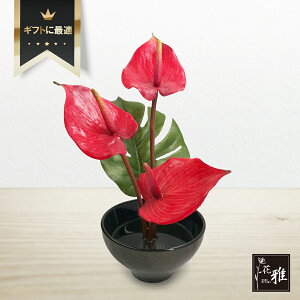 y ԉV[Y za AW  ԉV[YuAXEvG߂̉ԁyMtgz{yY AXE a ΂  ikebana@Ԃł͂܂