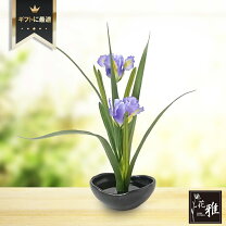 楽天市場】花菖蒲 飾りの通販