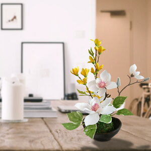 yԉV[YzۋʂƖؘ@̃AW  G߂̉ԁ@t[AWg CeA AWg  zCg a  A[eBtBVt[ N ؘ@ AW 