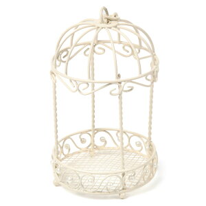 ACA  CeA o[hQ[WiEhEp[t)~` h[^